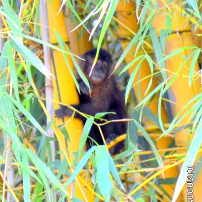 WhatsApp Image 2024-10-23 at 18.27.31