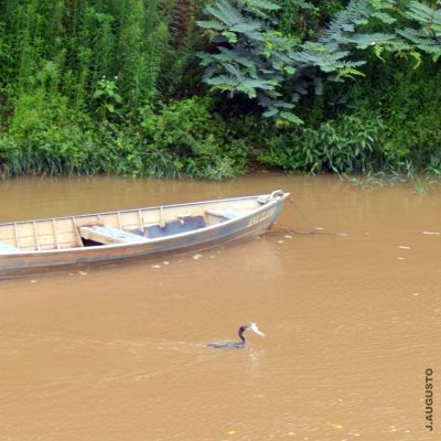 WhatsApp Image 2024-10-23 at 18.27.59